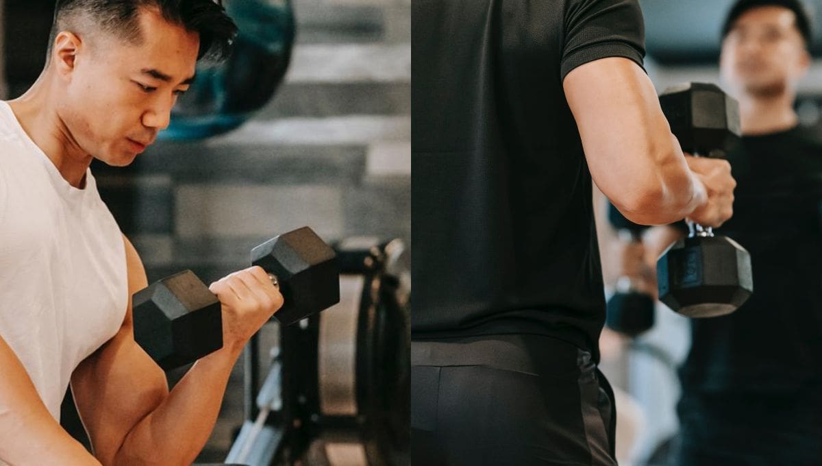 Dumbbell bicep curl vs hammer curl