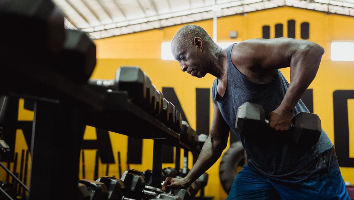 7 Best Dumbbell Exercises for Back Strength BOXROX