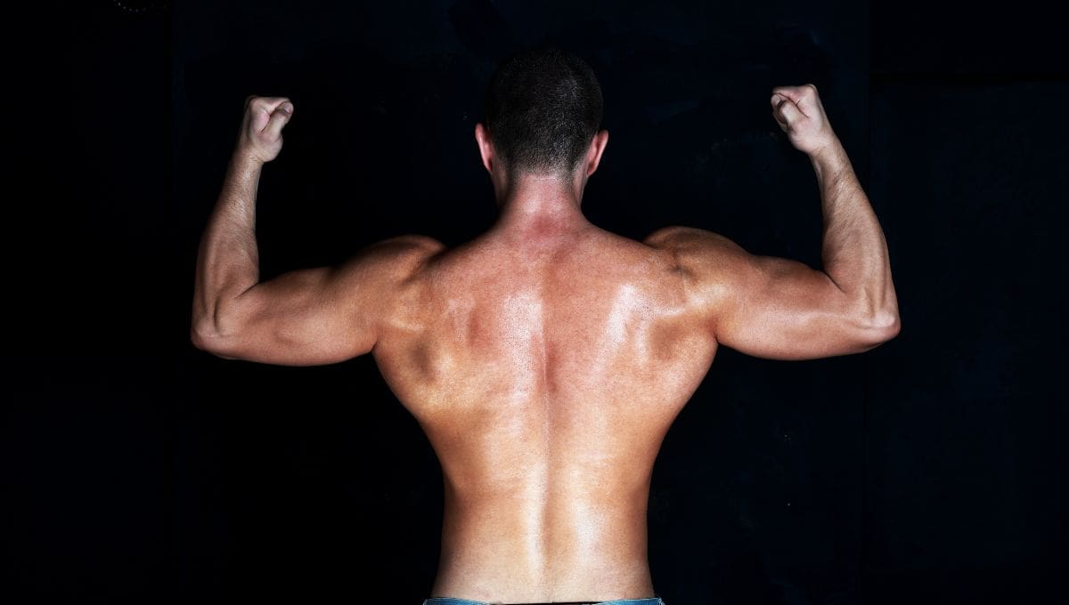 Back best sale width workout