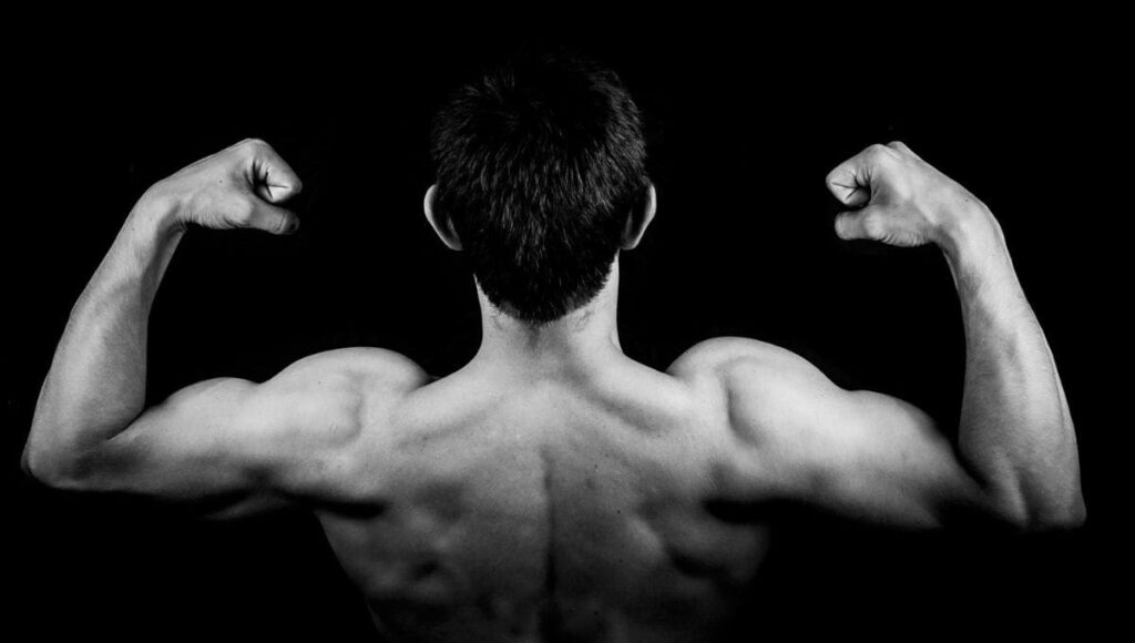 5 Shoulder Exercises You Should Be Doing 