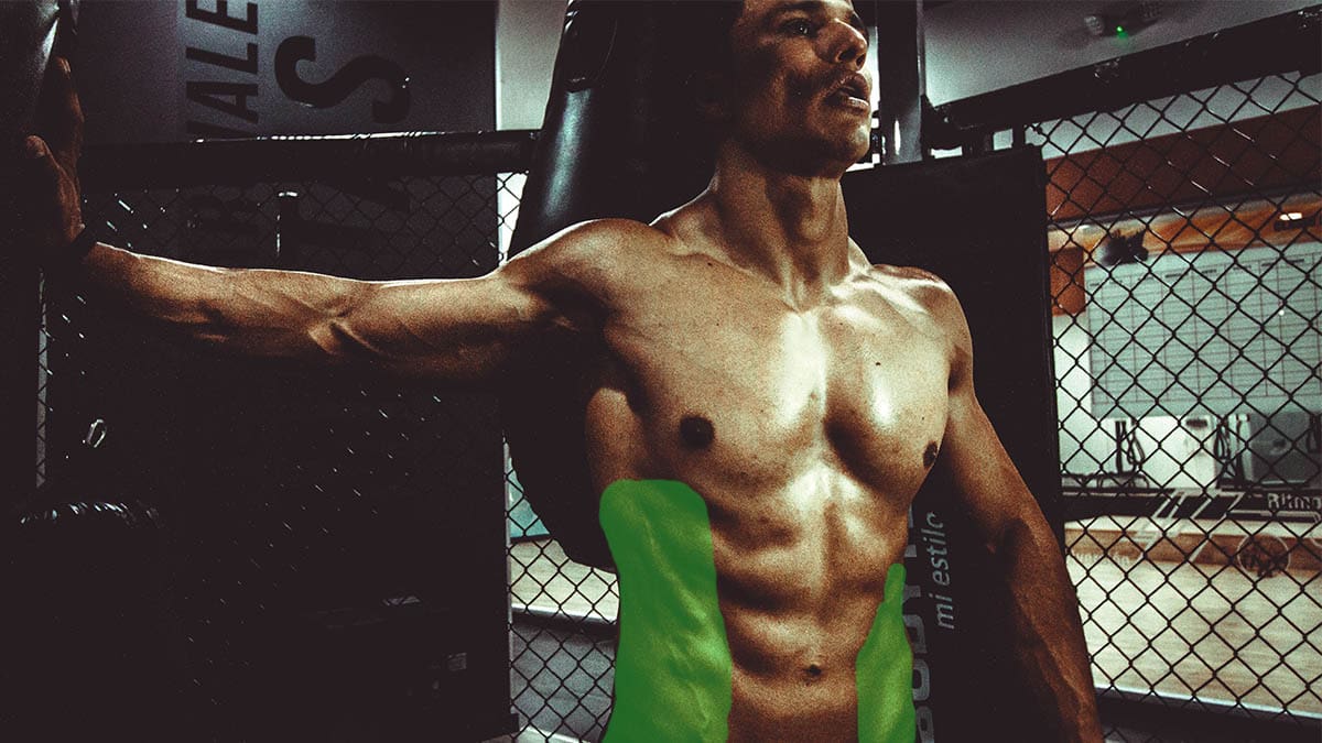 How to Get a 6 Pack at Home in 22 Days | BOXROX
