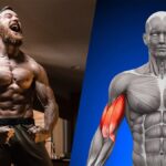 Perfect Biceps Workout for Incredible Arms