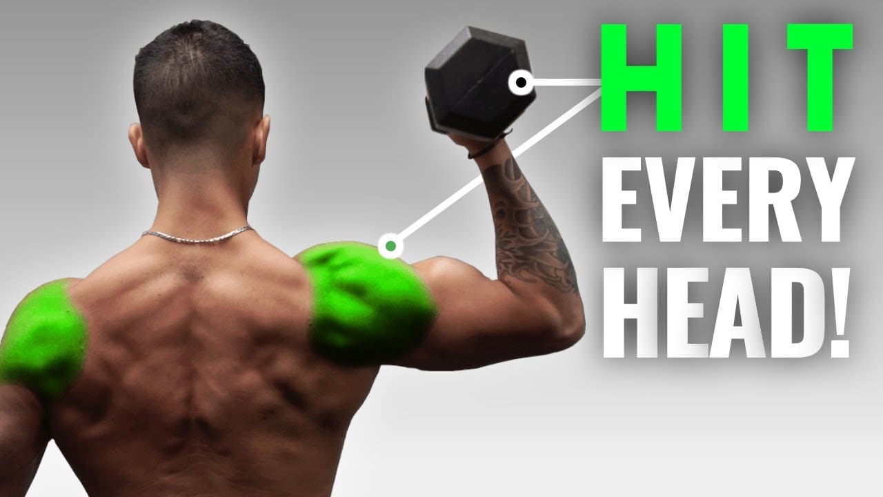 Shoulder Press Muscles Hit