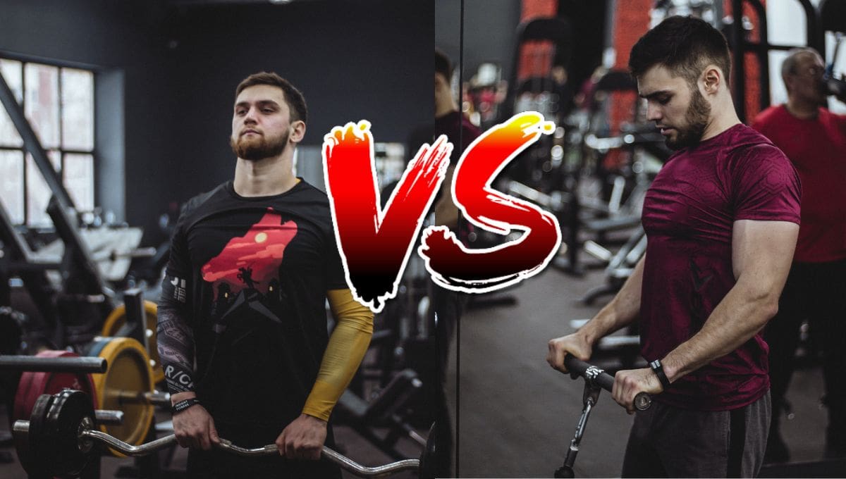 Barbell Curl vs Cable Curl: Which Builds Biceps Faster?