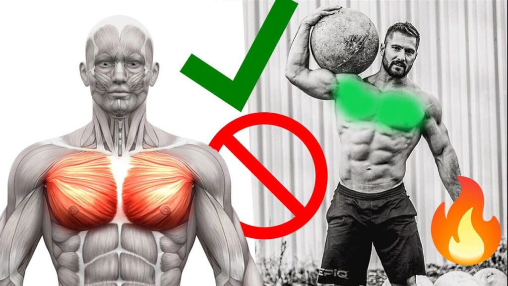 Chest-Exercises-and-Athletes Exercises to Force Chest Muscle Growth
