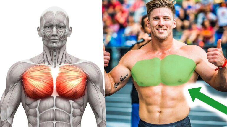 3 Best Beginner Exercises for Wider and More Muscular Pecs