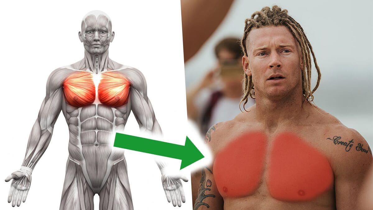 The Best Lower Chest Solution to Get Defined Pecs (Strength and