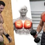 Chest-and-Triceps-Movements