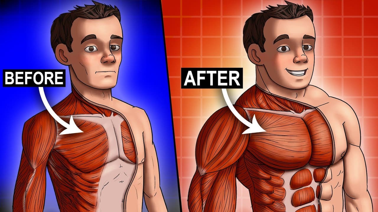 9 Great Tips to Help Grow Impressive Chest Muscle