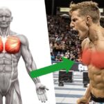 benefits of dumbbell chest flyes
