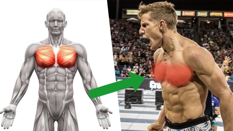 5 Best Upper Chest Exercises for Stronger Pecs | BOXROX