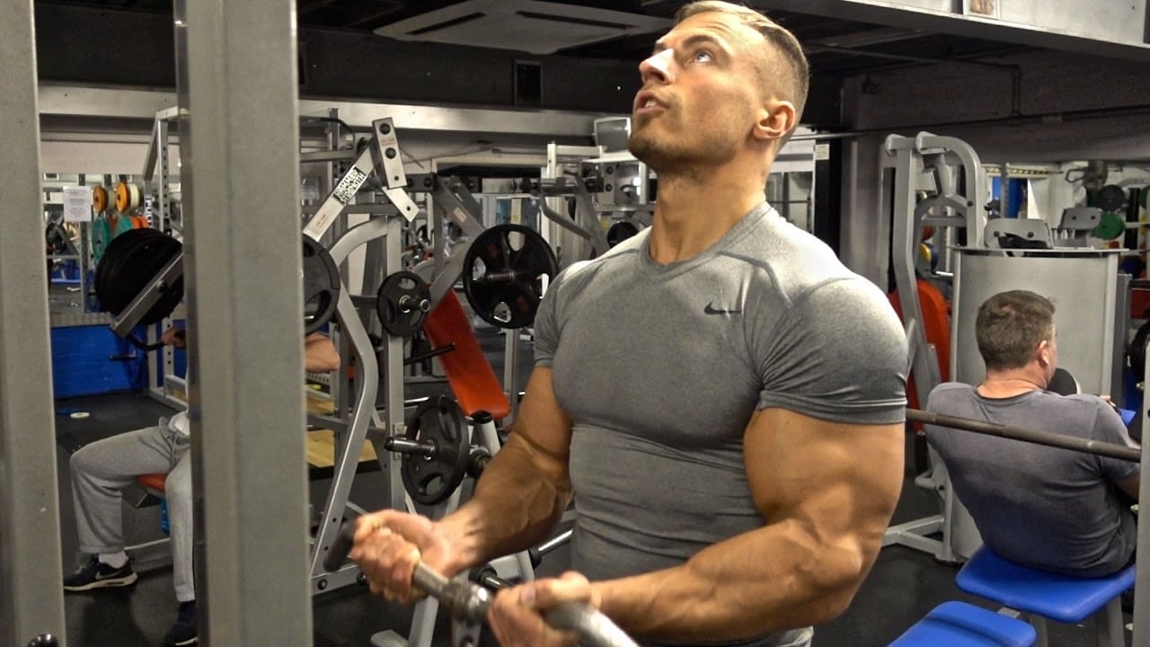 THE BICEPS & TRICEPS WORKOUT 