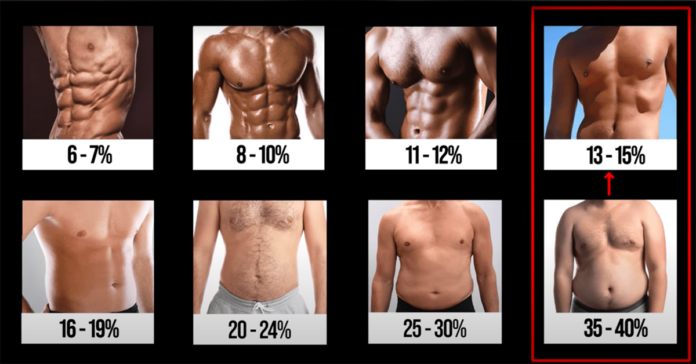 https://image.boxrox.com/2023/05/Body-Fat-Levels-696x364.png