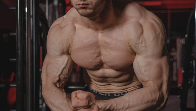3 Upper Chest Exercises for Better Looking Pecs | BOXROX