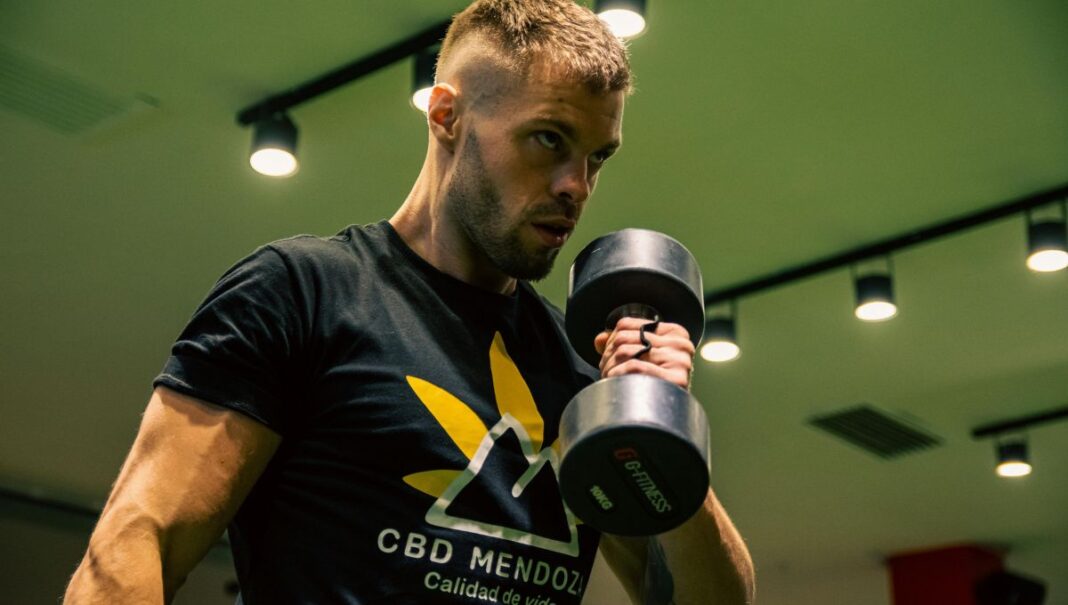 5 Best Unilateral Exercises for Upper Body Strength and Muscle | BOXROX