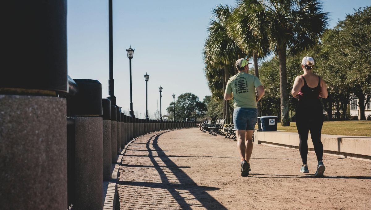 Zone 2 Cardio Training