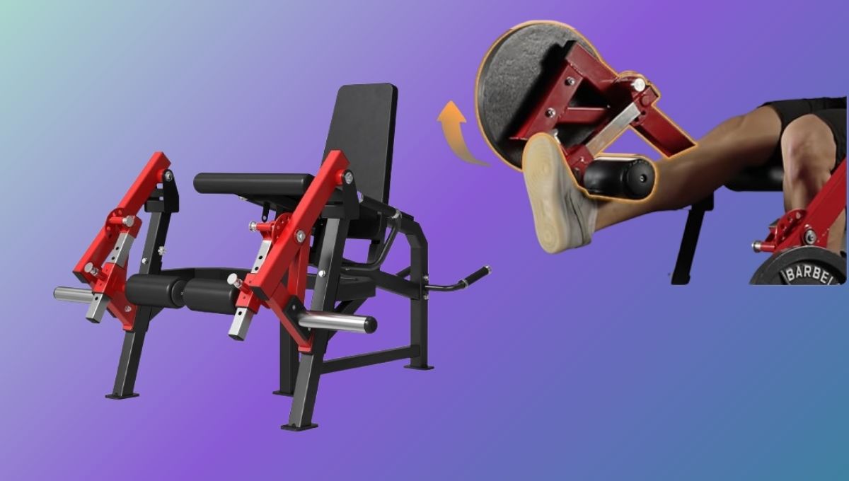 GMWD leg extension and curl machine