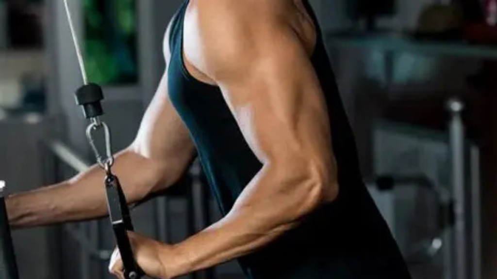 3 Exercises That Build Massive Triceps Faster Than Skull Crushers