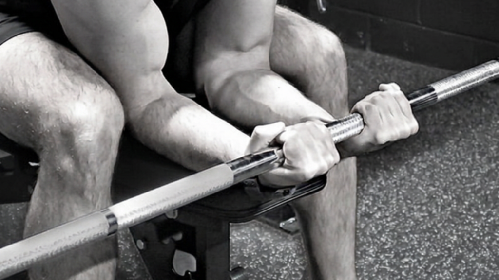 Barbell Curls