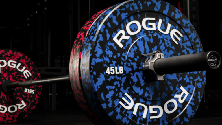 Upgrade Your Home Gym With Rogue Fleck Plates and The Vertical Plate Tree 2.0