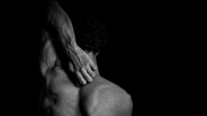 Back Muscles
