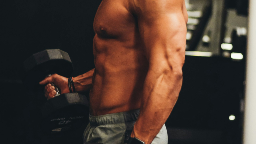 Biceps