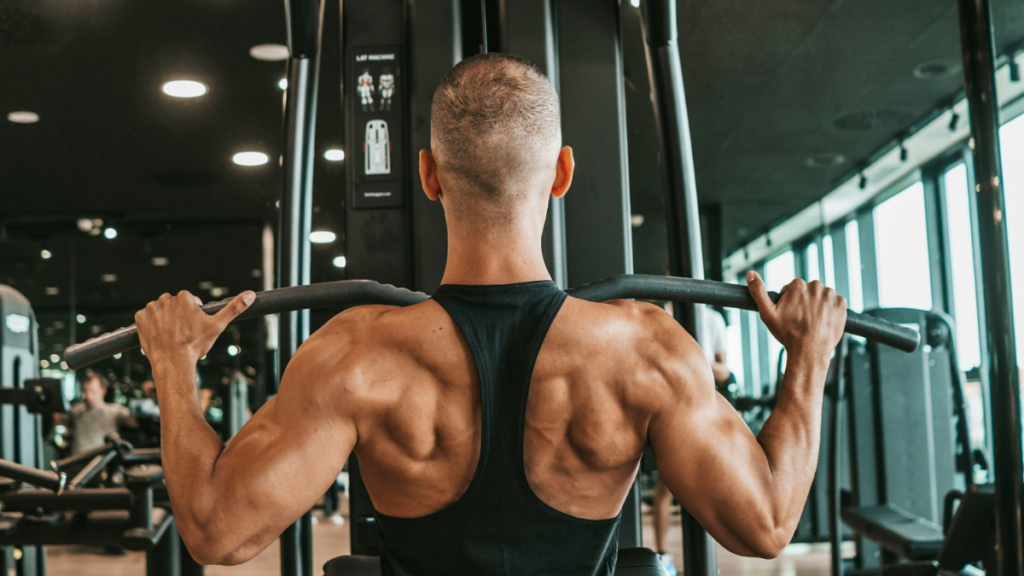 Lat Pulldowns vs Rows: Which Builds a Better V-Shaped Torso for Beginners?